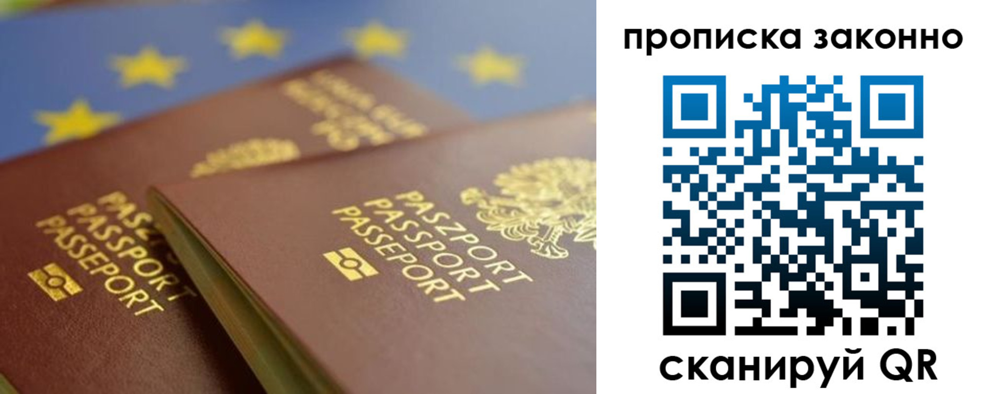 прописка в Сланцах